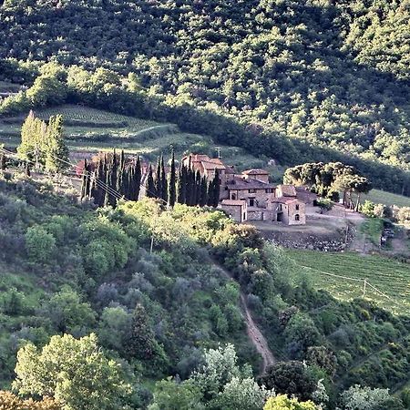 Residenza Antico Chianti Guest House Panzano in Chianti Bagian luar foto