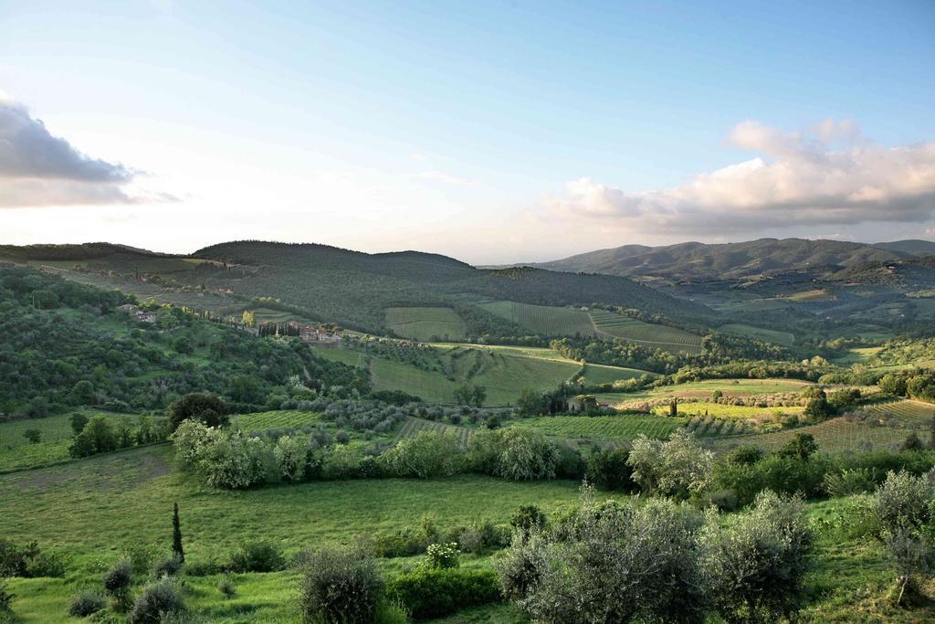 Residenza Antico Chianti Guest House Panzano in Chianti Bagian luar foto