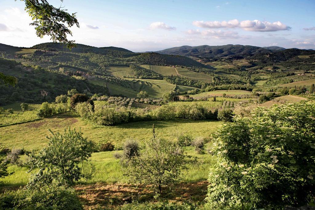 Residenza Antico Chianti Guest House Panzano in Chianti Bagian luar foto